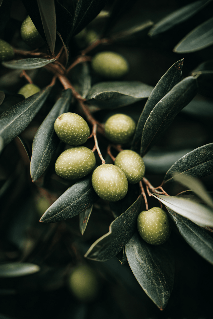 27 Dreamy Olive Green Wedding Color Palettes to Inspire Your Big Day