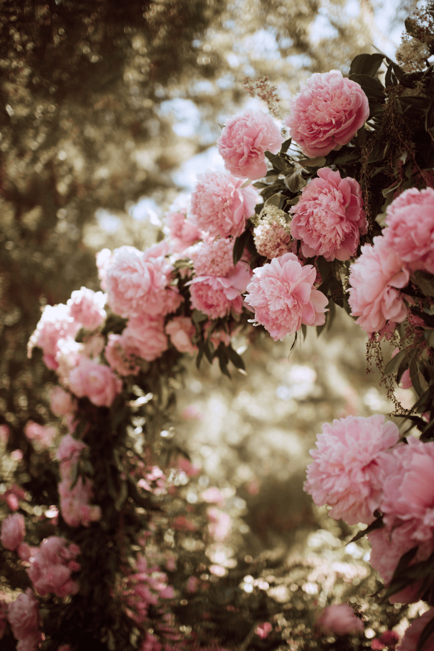 27 Floral Arch Wedding Ideas to Create the Ultimate Ceremony Backdrop